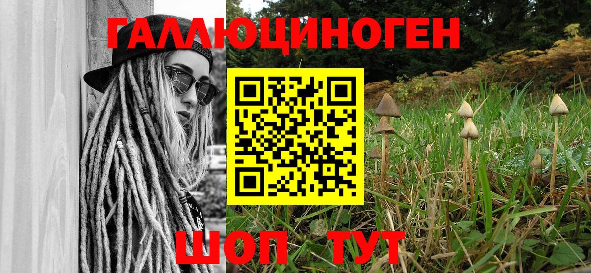 Галлюциногенные грибы ЛСД Аргун
